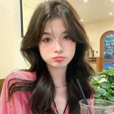 黑之契约者2:流星的双子